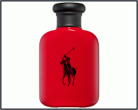 Ralph Lauren : Polo Red type (M)